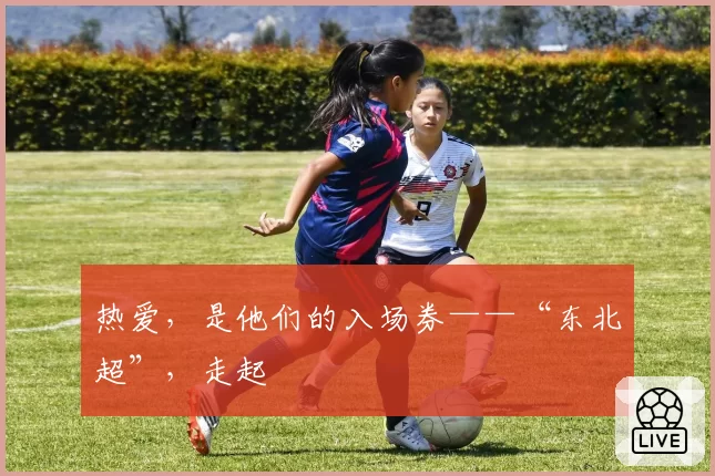 热爱，是他们的入场券——“东北超”，走起