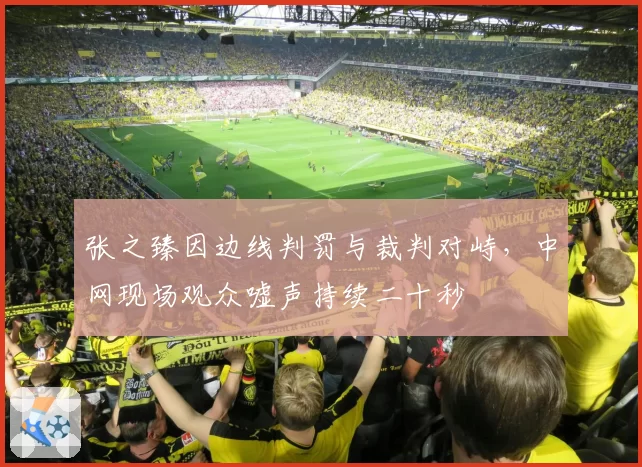 张之臻因边线判罚与裁判对峙,中网现场观众嘘声持续二十秒