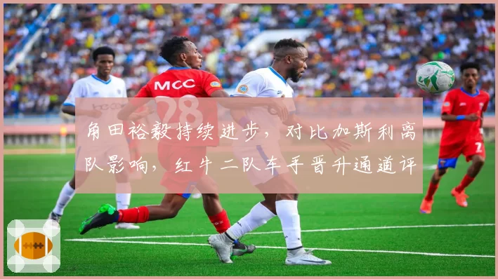 角田裕毅持续进步，对比加斯利离队影响，红牛二队车手晋升通道评估