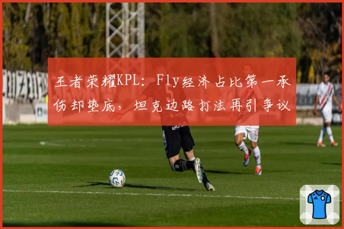 王者荣耀KPL：Fly经济占比第一承伤却垫底，坦克边路打法再引争议