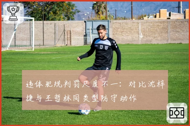 违体犯规判罚尺度不一：对比沈梓捷与王哲林同类型防守动作