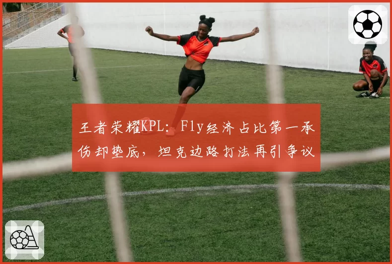 王者荣耀KPL：Fly经济占比第一承伤却垫底，坦克边路打法再引争议
